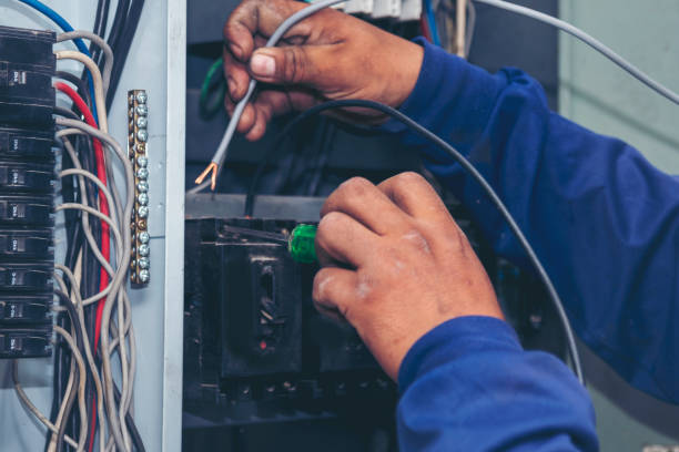Best Local Electrician Companies  in Rainbow Park, FL
